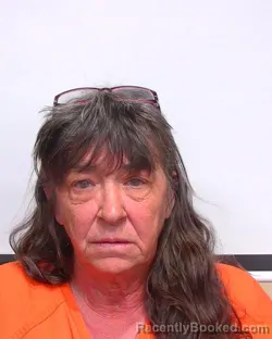 Mugshot of LEANN CAROL SASSER booked in Suwannee County, Florida on March 24, 2026