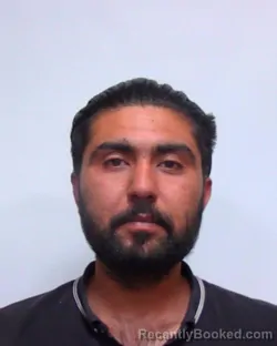 Mugshot of HARDIK HARDIK booked in Suwannee County, Florida on March 28, 2026