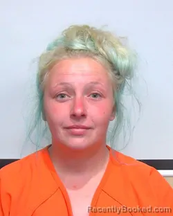 Mugshot of DAKOTA DESHAY ANDERSON booked in Suwannee County, Florida on March 29, 2026