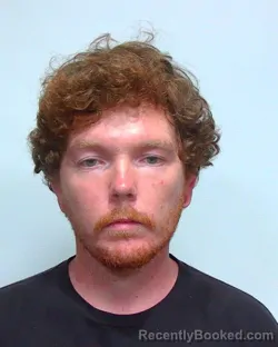 Mugshot of TYLER ERIC SWEETAPPLE booked in Suwannee County, Florida on April 4, 2026