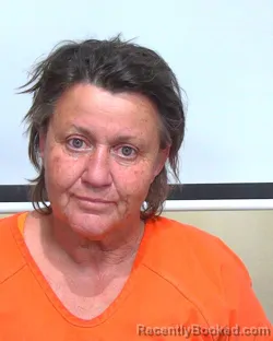 Mugshot of TINA DENISE SAWYER booked in Suwannee County, Florida on April 21, 2026