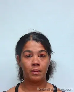Mugshot of BRITTANY DANIELLE GEIGER booked in Suwannee County, Florida on April 29, 2026