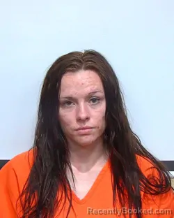 Mugshot of ALYSON MARIE LEFEVER booked in Suwannee County, Florida on May 7, 2026