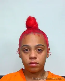 Mugshot of ZANAUDIA DANAY WIGGINS booked in Suwannee County, Florida on May 17, 2026