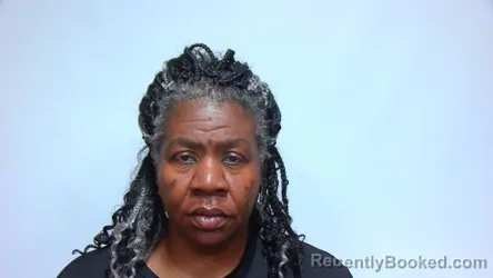 Mugshot of YOLANDA L MASON booked in Suwannee County, Florida on July 9, 2026
