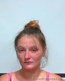 Mugshot of Helena Lafaye Edwards booked in Suwannee County, Florida on August 13, 2026