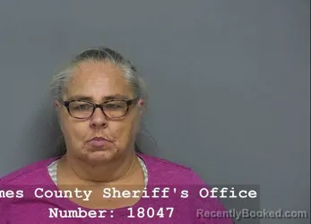 Mugshot of JAMIE LEE BEAVERS booked in Holmes County, Ohio on March 30, 2026