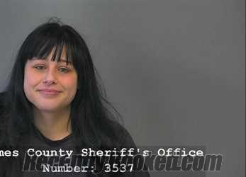 Mugshot of Jordan Dawn Mendoza booked in Holmes County, Ohio on September 2, 2026