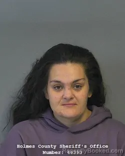 Booking photo from Holmes County, Ohio