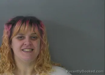 Mugshot of BRITTANY NICOLE TAYLOR booked in Holmes County, Ohio on April 28, 2026