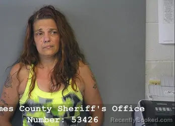 Mugshot of ANDREA LEIGH TREECE booked in Holmes County, Ohio on July 1, 2026