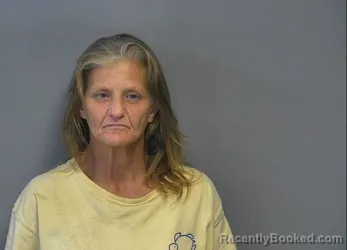 Mugshot of BRENDA GAYLE BOLLINGER booked in Holmes County, Ohio on June 15, 2026