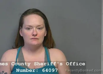 Mugshot of APRIL SHEREE SIMS booked in Holmes County, Ohio on April 21, 2026