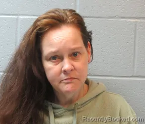 Mugshot of Melissa Marie Collins booked in Huron County, Ohio on October 2, 2026