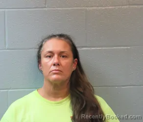 Mugshot of NICOLE MARIE WILSON booked in Huron County, Ohio on March 17, 2026