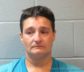 Mugshot of AMBER LYNN SCHNEE booked in Huron County, Ohio on June 23, 2026