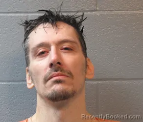 Mugshot of DAVID LEE FLIGOR