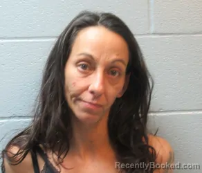 Mugshot of ANNA MARIE ROBERTSON booked in Huron County, Ohio on June 1, 2026