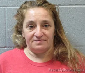 Mugshot of CONNIE LEE BRANT booked in Huron County, Ohio on March 23, 2026