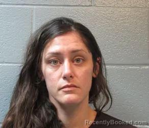 Booking photo from Huron County, Ohio