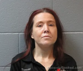 Mugshot of TABATHA LYNN LOCKHART booked in Huron County, Ohio on June 1, 2026