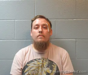 Mugshot of JAMES WILLIAM WIREMAN