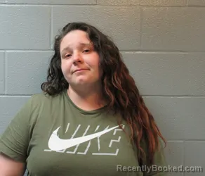 Mugshot of TAYLOR LYNN HAMONS booked in Huron County, Ohio on April 25, 2026