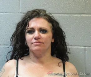 Mugshot of TERRA LYNN HOWARD booked in Huron County, Ohio on May 8, 2026