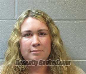 Booking photo from Huron County, Ohio