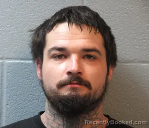 Mugshot of TYLER REED GOETZ