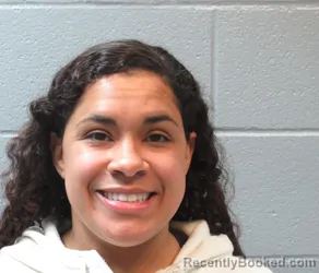 Booking photo from Huron County, Ohio