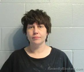 Mugshot of LISA MARIE STOUT booked in Huron County, Ohio on May 4, 2026
