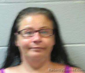 Mugshot of CALLIE NICHOLE LOONEY booked in Huron County, Ohio on July 6, 2026