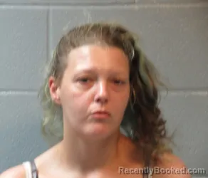 Mugshot of Charrity Renee Hale booked in Huron County, Ohio on August 21, 2026