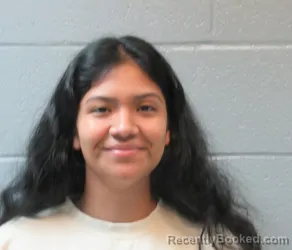 Mugshot of ISABEL LOPEZ SANCHEZ booked in Huron County, Ohio on April 1, 2026