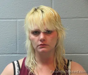 Mugshot of BRITTANY LEAANN ANSEL booked in Huron County, Ohio on March 31, 2026