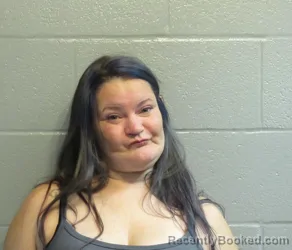 Booking photo from Huron County, Ohio