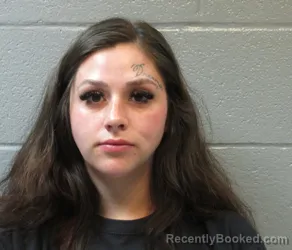 Mugshot of FALON LYNN CLARK booked in Huron County, Ohio on March 20, 2026