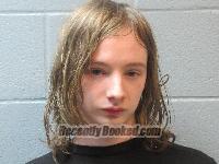 Booking photo from Huron County, Ohio