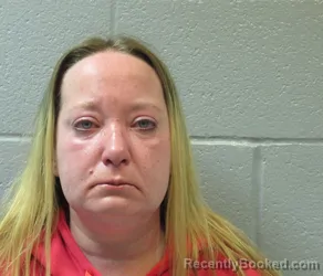 Mugshot of SARAH JEAN ANDERSON