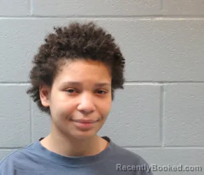 Mugshot of SHONDREA J CRAWFORD booked in Huron County, Ohio on March 23, 2026