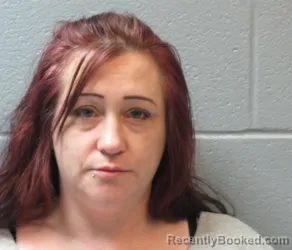 Booking photo from Huron County, Ohio
