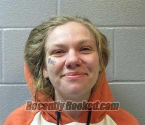 Booking photo from Huron County, Ohio