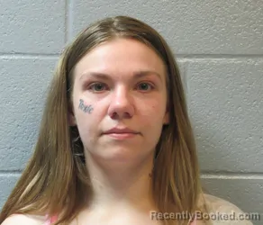 Mugshot of BROOKLYN JOANN DEWIEL booked in Huron County, Ohio on June 30, 2026