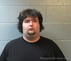 Mugshot of RYAN MACKENZIE WILSON