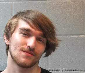 Mugshot of VICENTE OLGIN ALVAREZ