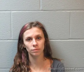 Mugshot of ALEXIS MARIE HARRINGTON booked in Huron County, Ohio on March 18, 2026