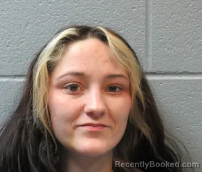 Mugshot of DYNEASHA LERA ANN STEFANINI booked in Huron County, Ohio on March 27, 2026