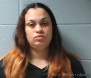 Mugshot of CHANTEL E ALLGOOD booked in Huron County, Ohio on March 30, 2026