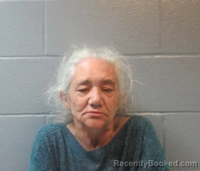 Mugshot of TONYA LYNN FISCHER booked in Huron County, Ohio on April 4, 2026